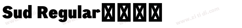 Sud Regular字体转换